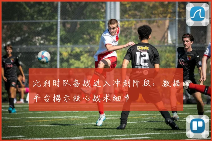 比利时队备战进入冲刺阶段,数据平台揭示核心战术细节