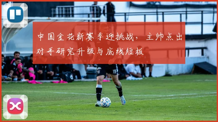 中国金花新赛季迎挑战，主帅点出对手研究升级与底线短板