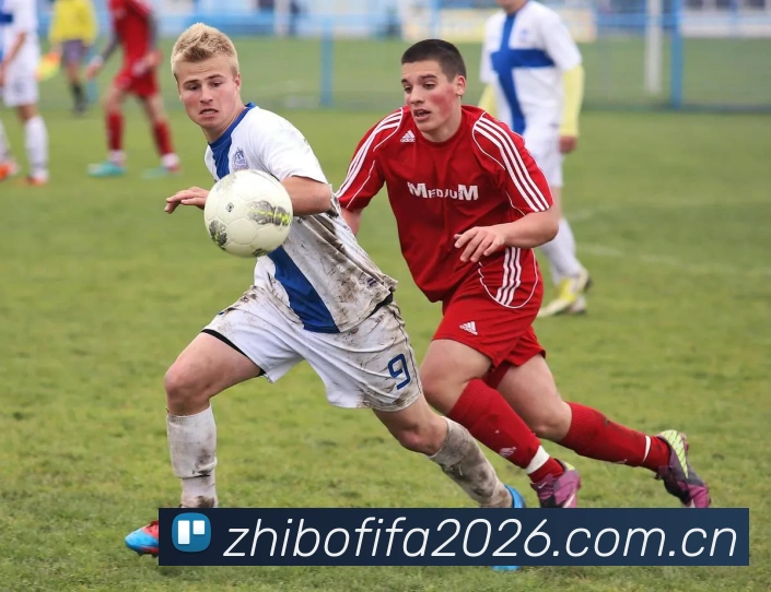 2026世界杯 App界面演示